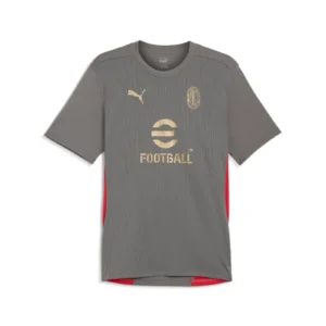 CAMISETA GRIS XL